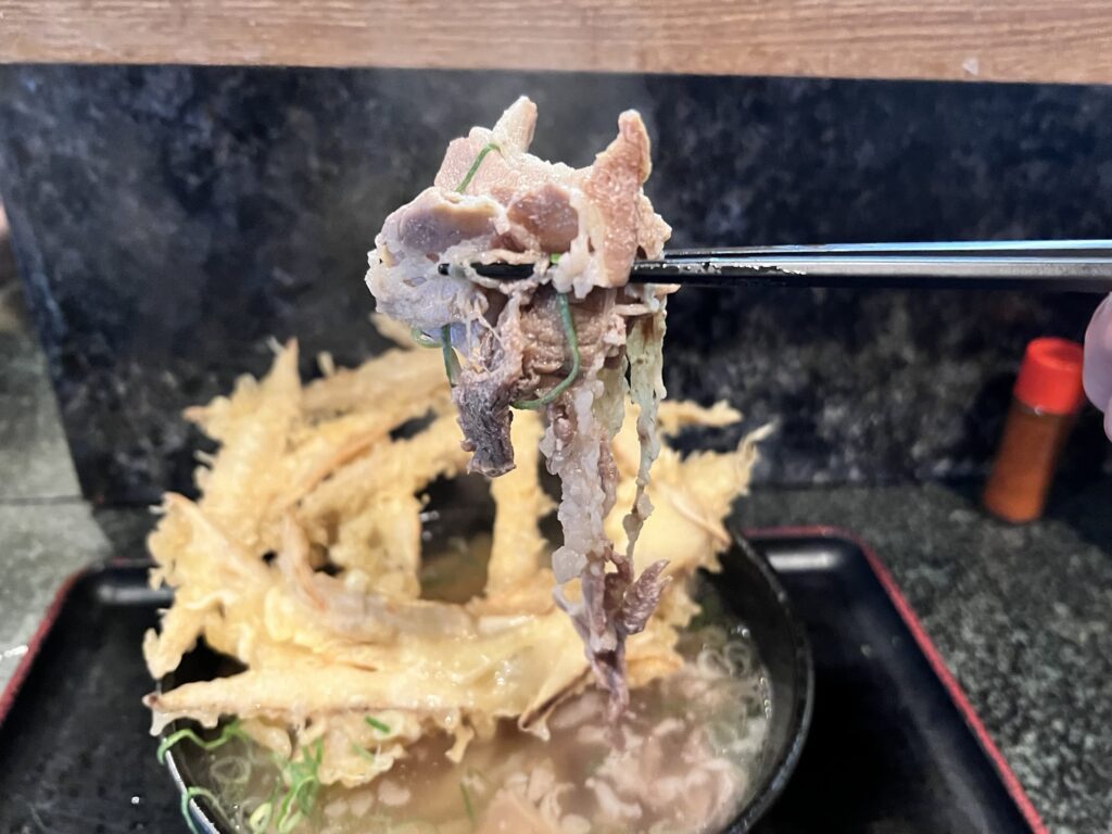 大地のうどん薄切り牛肉アップ