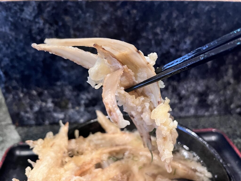 大地のうどんごぼう天ほぐしたところリフトアップ