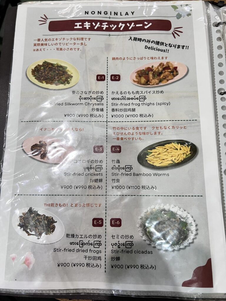 ノングインレイ冊子メニューエキゾチックゾーン