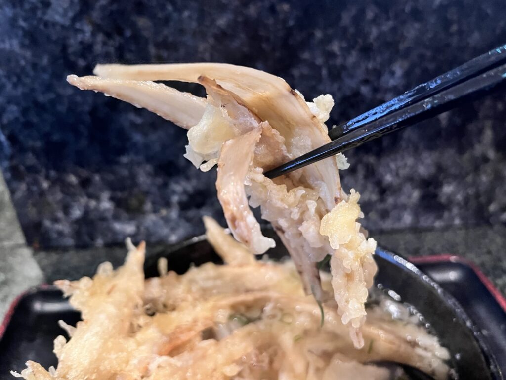 大地のうどんほぐしたごぼう天リフトアップ